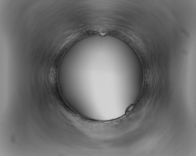 X0000115740036200911121546