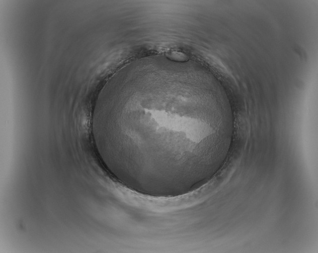 X0000115740039200911121546