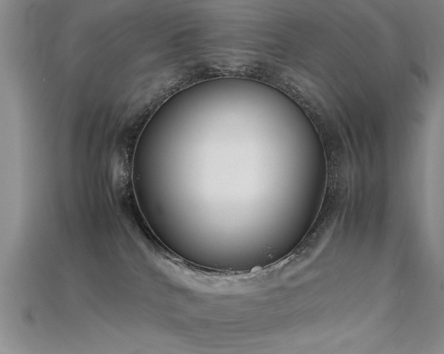 X0000115740040200911121546