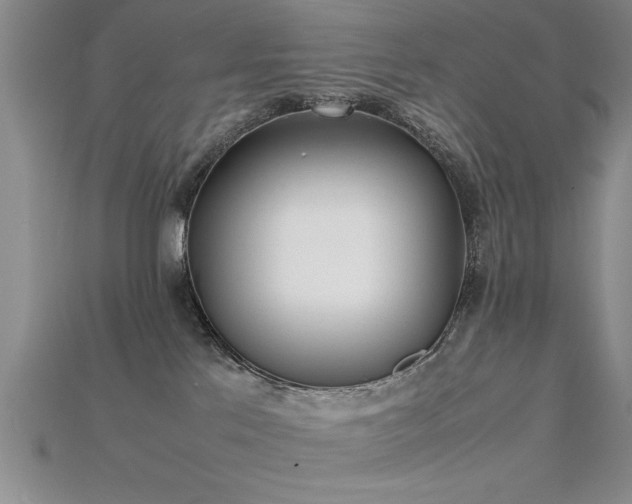 X0000115740041200911121546