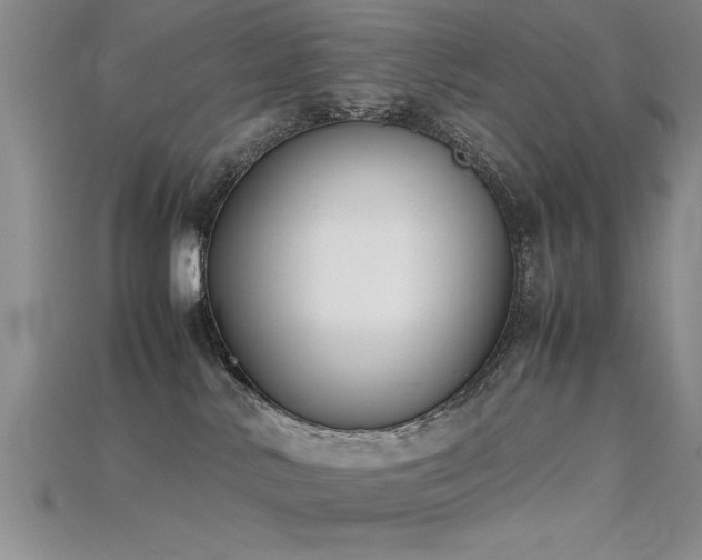 X0000115740042200911121546