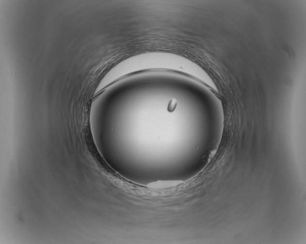 X0000115740043200911121546