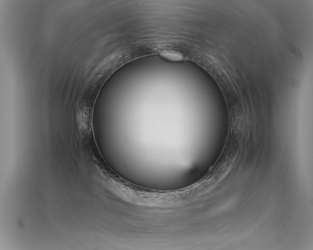 X0000115740044200911121546