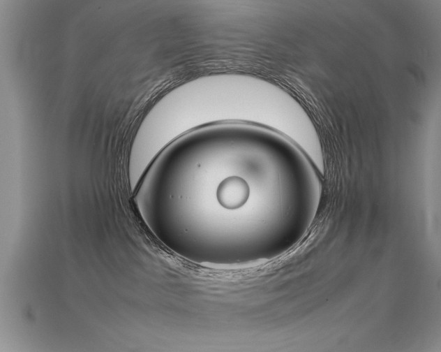 X0000115740045200911121546