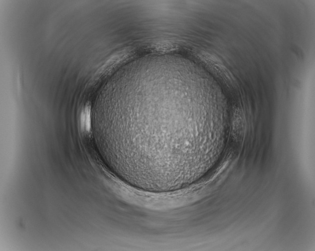 X0000115740046200911121546