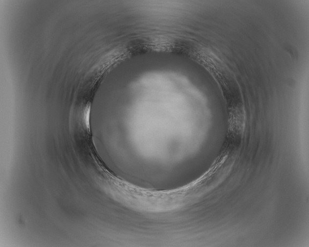 X0000115740047200911121546