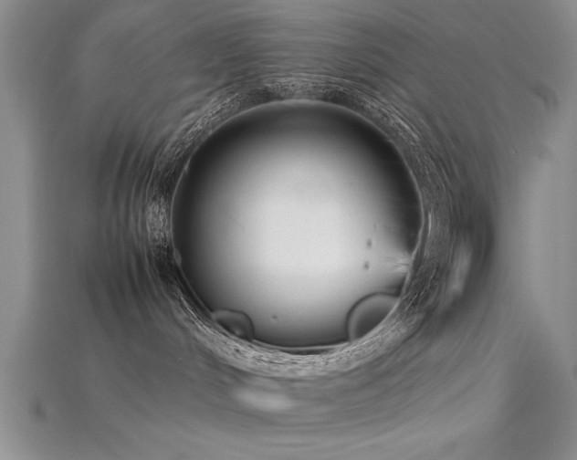 X0000115740048200911121546