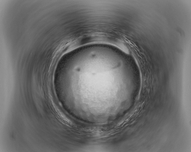 X0000115740049200911121545