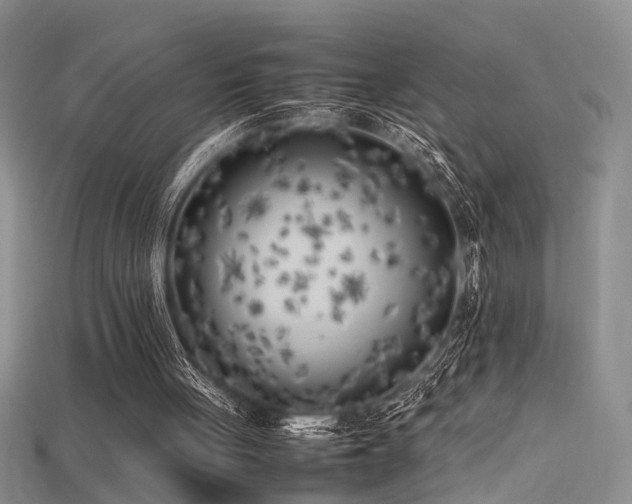 X0000115740051200911121545