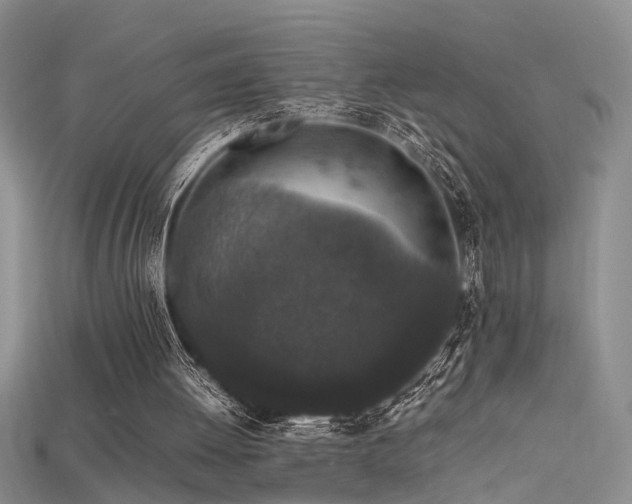 X0000115740052200911121545