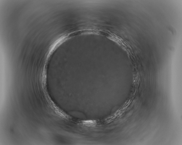 X0000115740053200911121545