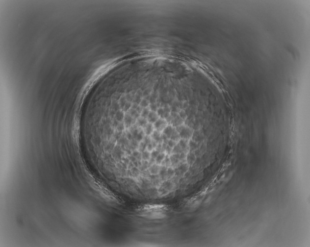 X0000115740055200911121545