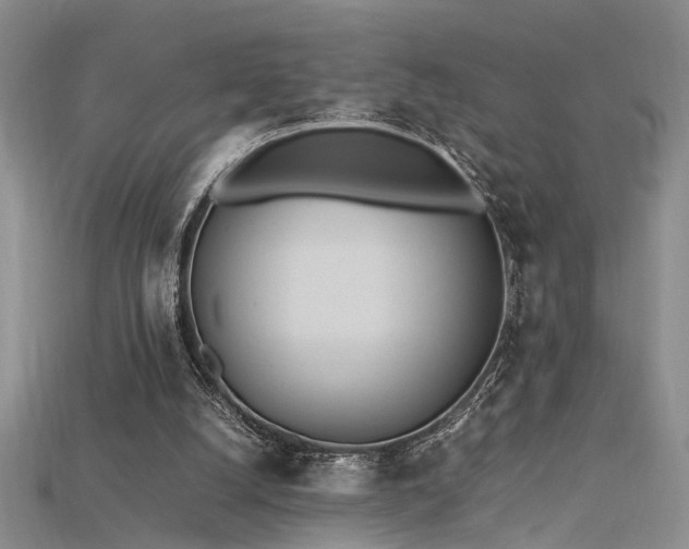 X0000115740056200911121545