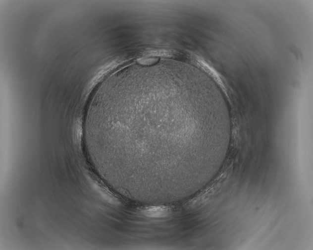 X0000115740059200911121545