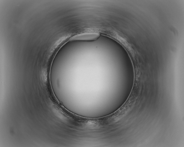 X0000115740060200911121545