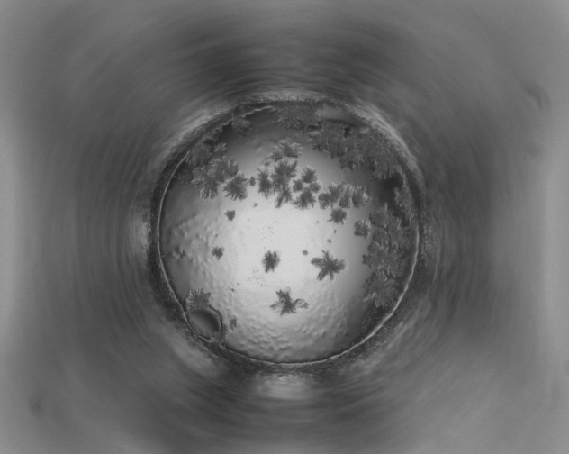 X0000115740063200911121545