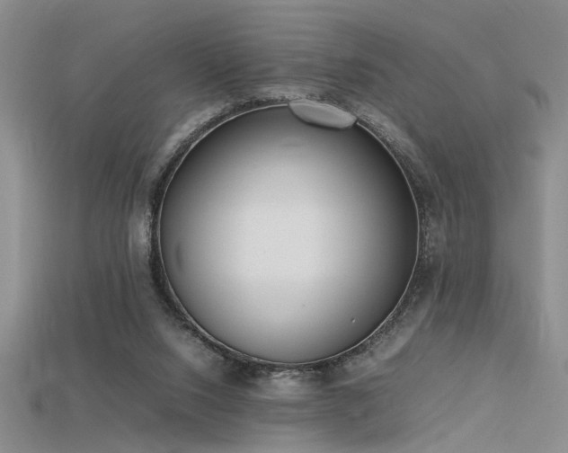 X0000115740064200911121545