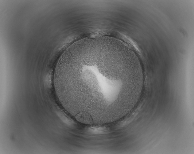 X0000115740065200911121545