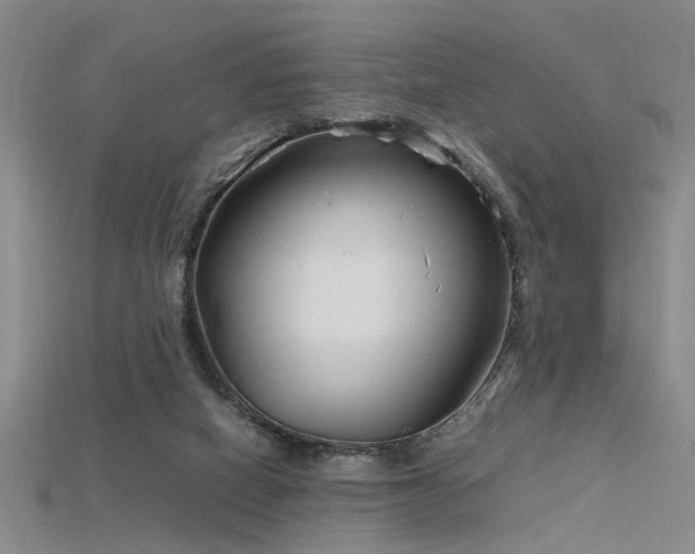 X0000115740066200911121545