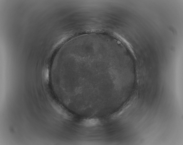 X0000115740067200911121545