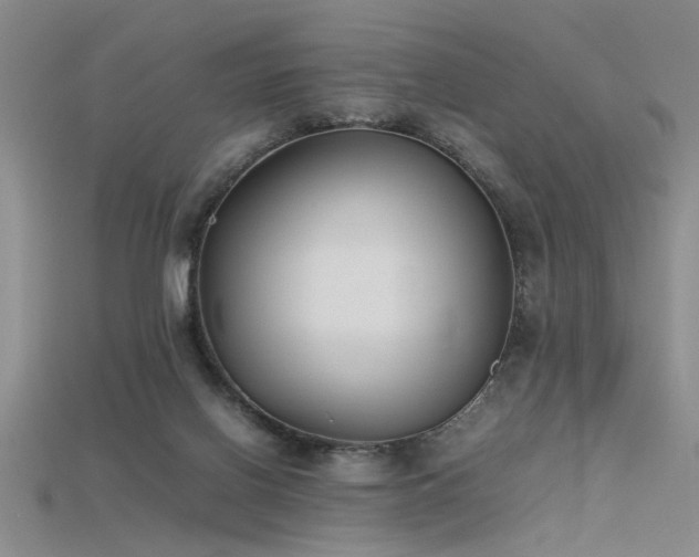 X0000115740070200911121545