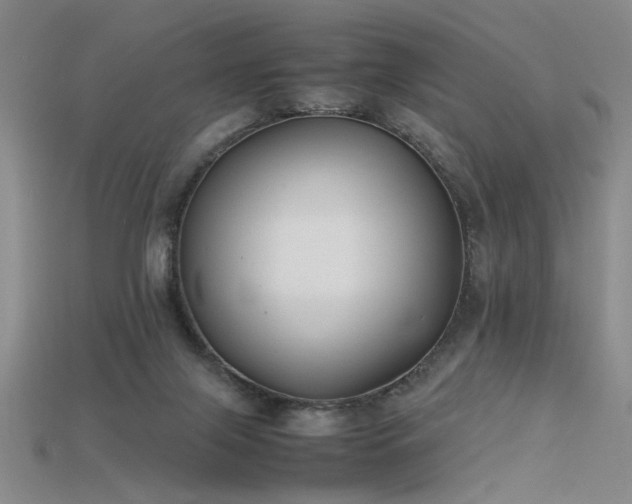 X0000115740071200911121545