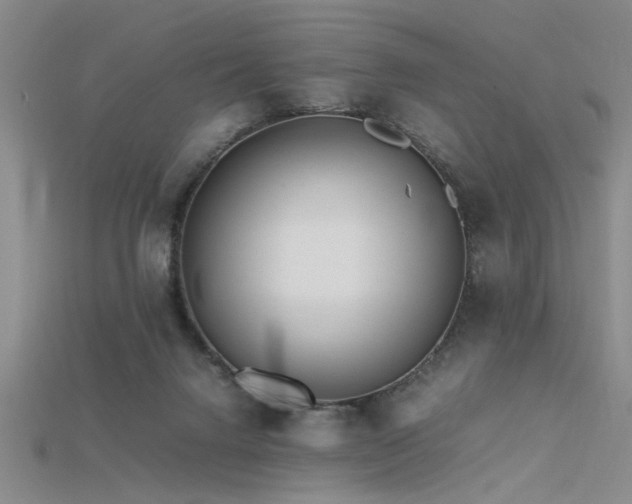 X0000115740072200911121545