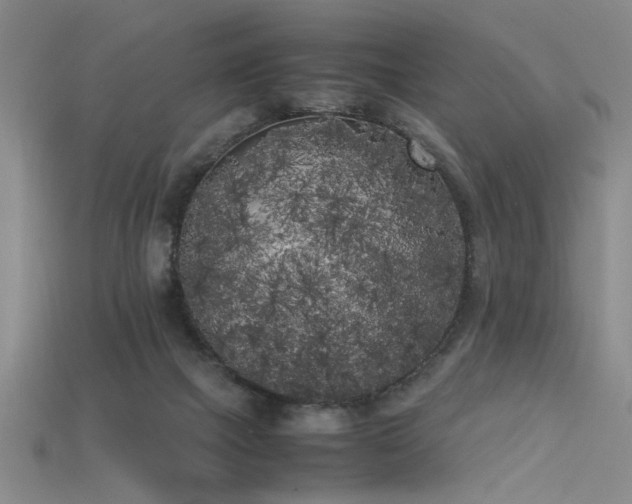 X0000115740073200911121545