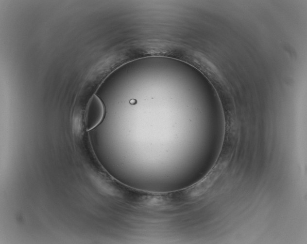 X0000115740074200911121545