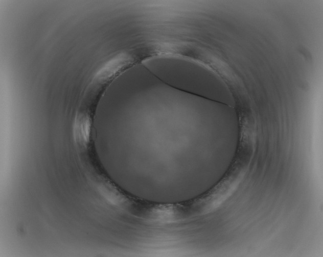 X0000115740076200911121546