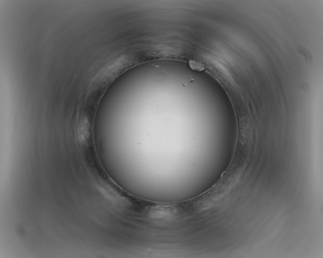 X0000115740077200911121546