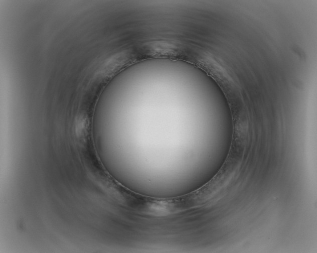 X0000115740079200911121546