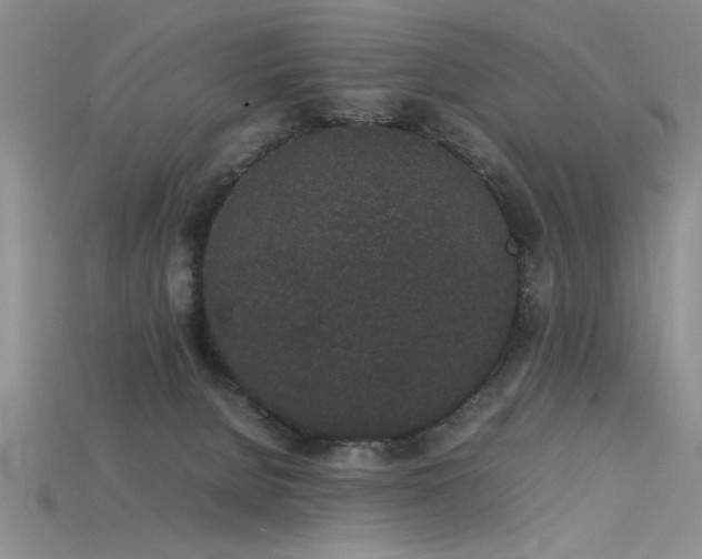 X0000115740080200911121546