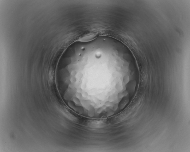 X0000115740081200911121546