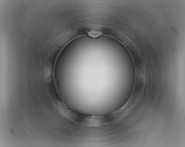 X0000115740082200911121546