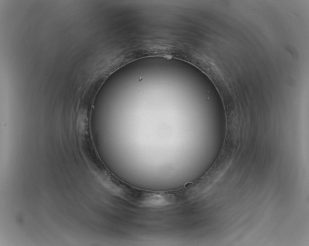 X0000115740083200911121546