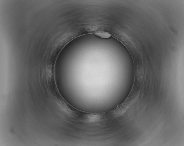 X0000115740085200911121546