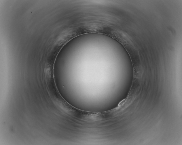 X0000115740086200911121546