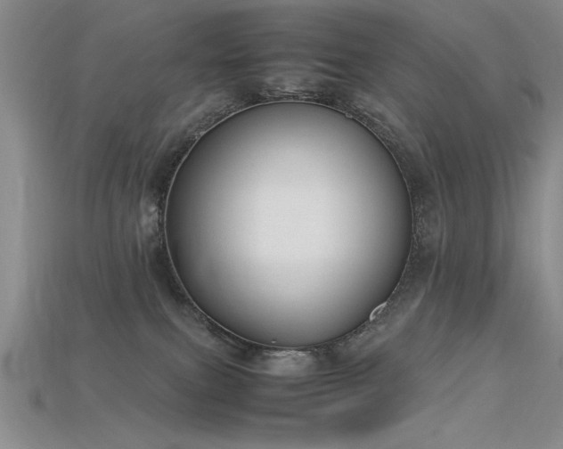 X0000115740087200911121546