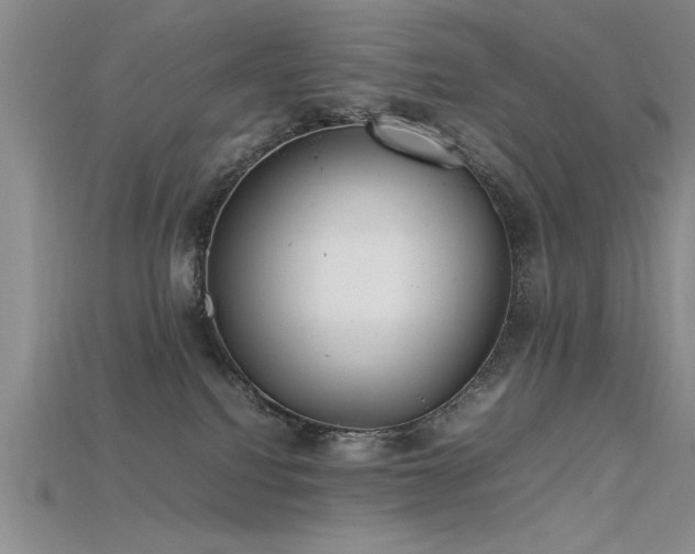 X0000115740088200911121546