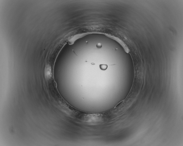 X0000115740089200911121546