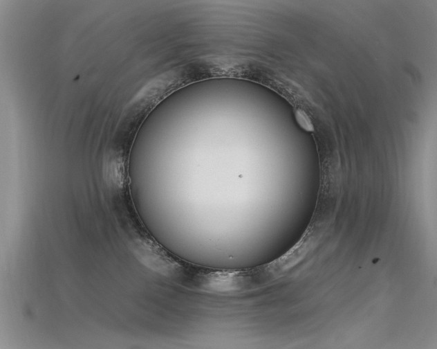 X0000115740090200911121546