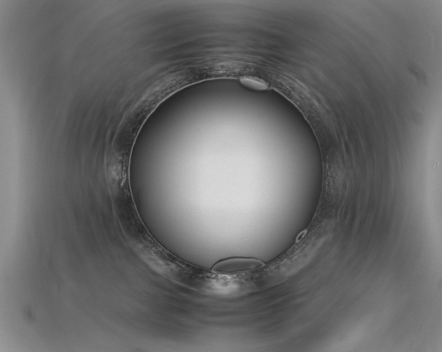 X0000115740091200911121546