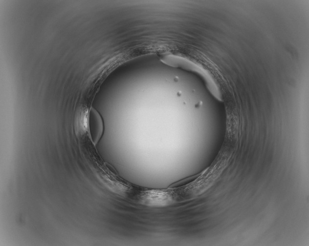 X0000115740095200911121546