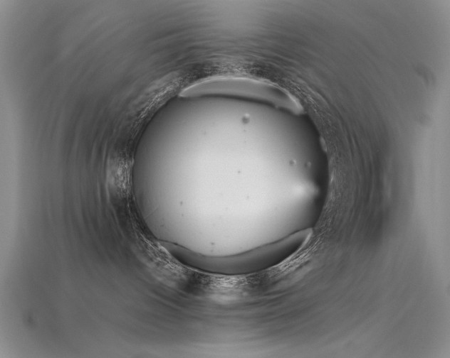 X0000115740096200911121546