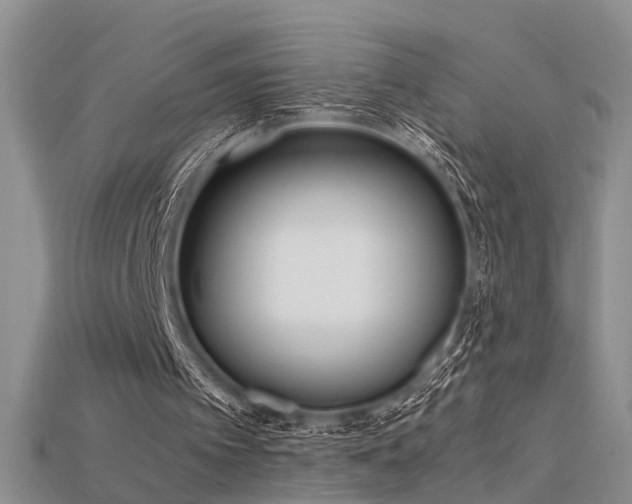 X0000115740097200911121545