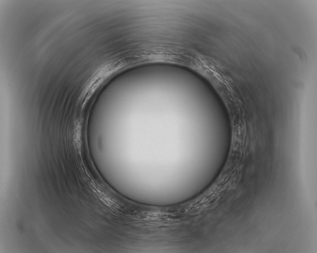 X0000115740098200911121545