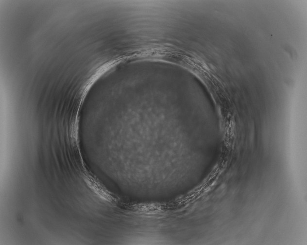 X0000115740100200911121545