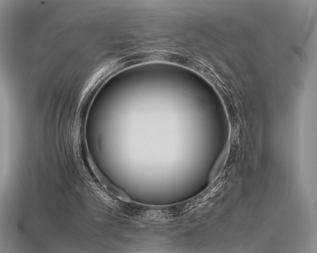 X0000115740101200911121545