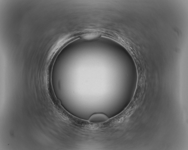 X0000115740103200911121545